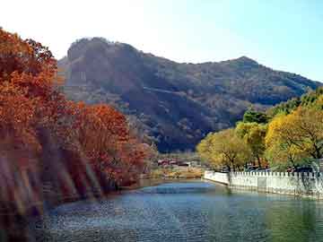 澳门天天免费精准大全，塑胶地坪